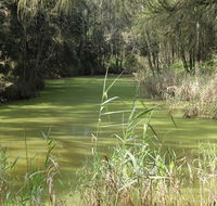 Second Ponds Creek walk - Inverell Accommodation