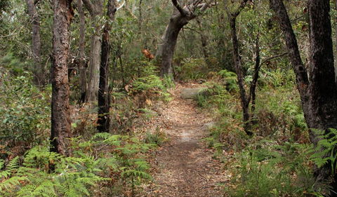 Box Head Track - Inverell Accommodation 1