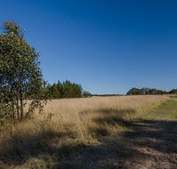Scheyville horse riding trails - Inverell Accommodation