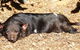 Symbio Wildlife Park - thumb 0