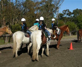 Darkes Forest Riding Ranch - Inverell Accommodation 0