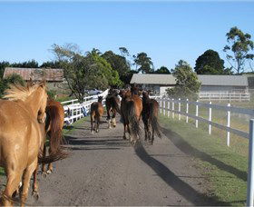 Darkes Forest Riding Ranch - Inverell Accommodation 1