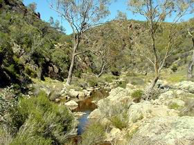 Saunders Gorge Sanctuary - Inverell Accommodation 1