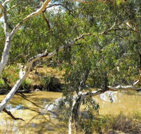 Quilberry Creek Fishing - Inverell Accommodation