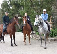 Academy of Dressage - Inverell Accommodation