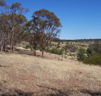 Onkaparinga River National Park - Inverell Accommodation