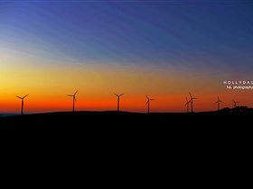 Starfish Hill Windfarm - Inverell Accommodation 0