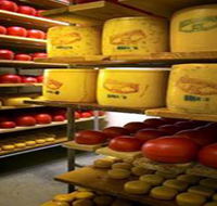 Alexandrina Cheese Company - Inverell Accommodation