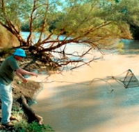 Charleville - Ward River Fishing Spot - Inverell Accommodation