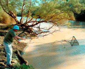 Charleville - Ward River Fishing Spot - Inverell Accommodation 0