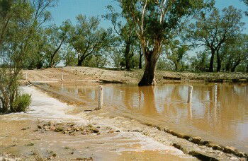 Charleville - Ward River Fishing Spot - Inverell Accommodation 2