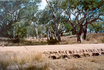 Charleville - Ward River Fishing Spot - Inverell Accommodation 1