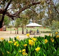 Charleville - Graham Andrews Parklands - Inverell Accommodation