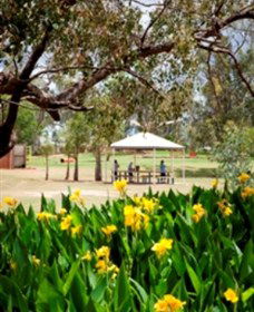 Charleville - Graham Andrews Parklands - Inverell Accommodation 0
