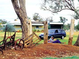 Charleville - Graham Andrews Parklands - Inverell Accommodation 3