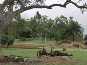 Charleville - Graham Andrews Parklands - Inverell Accommodation 2