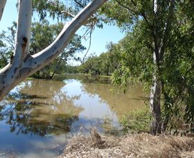 Red Bank Park - Inverell Accommodation 0