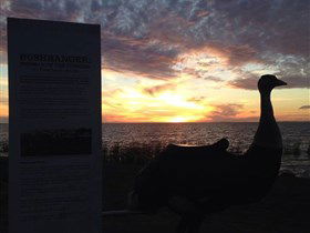 Meningie's Pelican Path - Yunti Ngopun Ngami - Inverell Accommodation 2