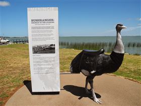 Birdman Of The Coorong - Inverell Accommodation 0