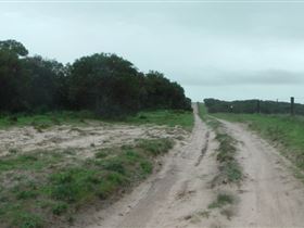 Messent Conservation Park - Inverell Accommodation 1