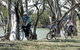Yanga Woolshed Picnic Area - thumb 1