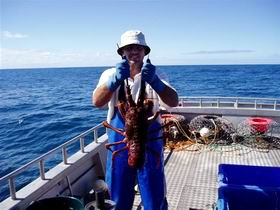 Lacepede Seafood - Inverell Accommodation 2