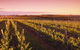 Ralph Fowler Wines - thumb 0