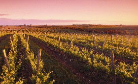 Ralph Fowler Wines - Inverell Accommodation 0