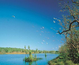Nature's Way - Inverell Accommodation 5