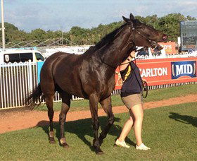 Darwin Turf Club - Inverell Accommodation 2