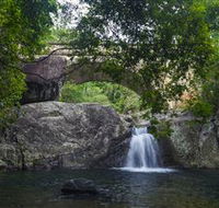 Paluma and Crystal Creek Rainforest - Inverell Accommodation