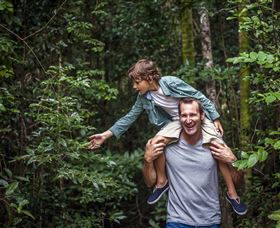 Paluma And Crystal Creek Rainforest - Inverell Accommodation 1