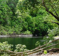 Broadwater Abergowrie State Forest - Inverell Accommodation