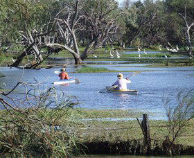 Marsh Meanders - Inverell Accommodation 2