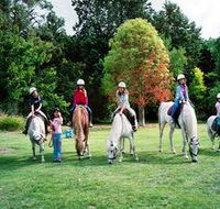 Limestone Coast Horseriding - Inverell Accommodation