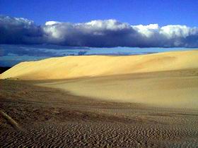 Beachport Conservation Park - Inverell Accommodation 1