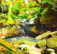 Carnarvon Gorge Carnarvon National Park - Inverell Accommodation