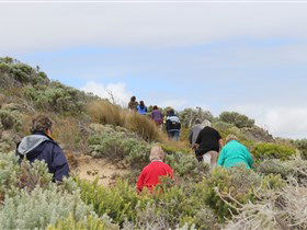 The Seaview Walking Trail - Inverell Accommodation 2