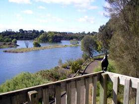 Lake McIntyre - Inverell Accommodation 0