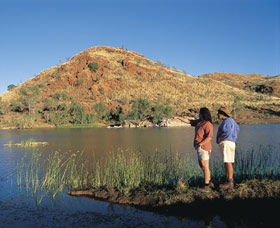 Chinaman's Pool And Picnic Area - Inverell Accommodation 2