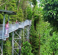 Mamu Tropical Skywalk - Inverell Accommodation