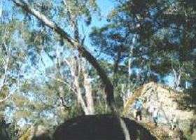 Strathdownie ACT Inverell Accommodation