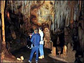 Tantanoola Caves Conservation Park - Inverell Accommodation 0
