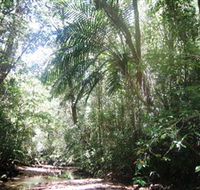 Mount Lewis National Park - Inverell Accommodation