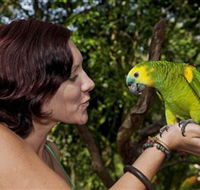 Birdworld Kuranda - Inverell Accommodation
