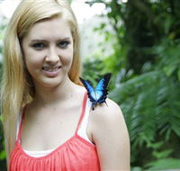 Australian Butterfly Sanctuary - Inverell Accommodation