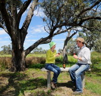 Restdown Wines and Walking Trail - Inverell Accommodation