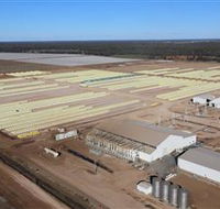 Southern Cotton Gin - Inverell Accommodation