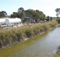 Cornalla Farm Tour - Inverell Accommodation