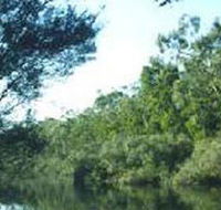 Crawford River Regional Park - Inverell Accommodation